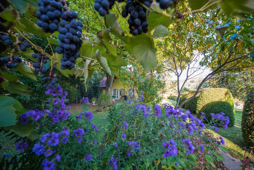 Prázdninový dům Winemakers Escape